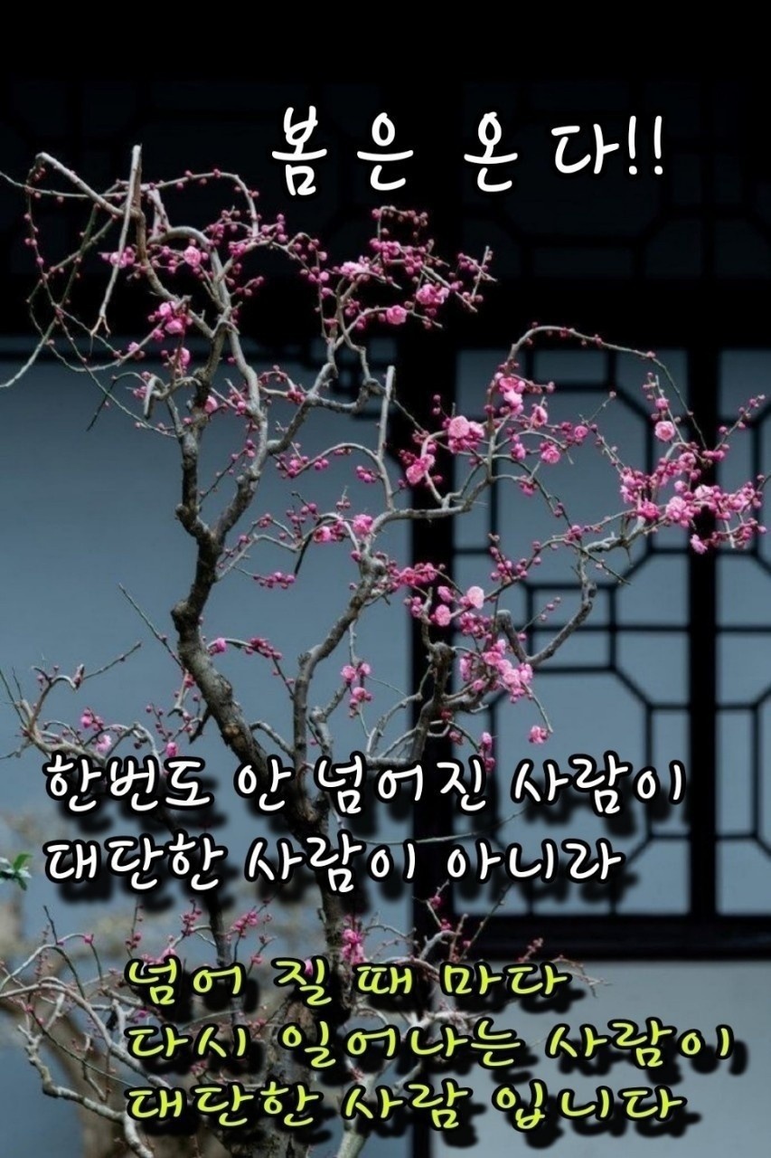 건강한사람들 이미지