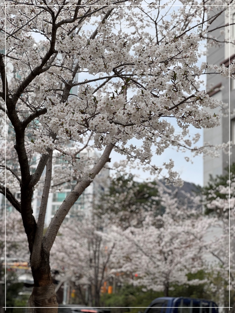만우장성 이미지
