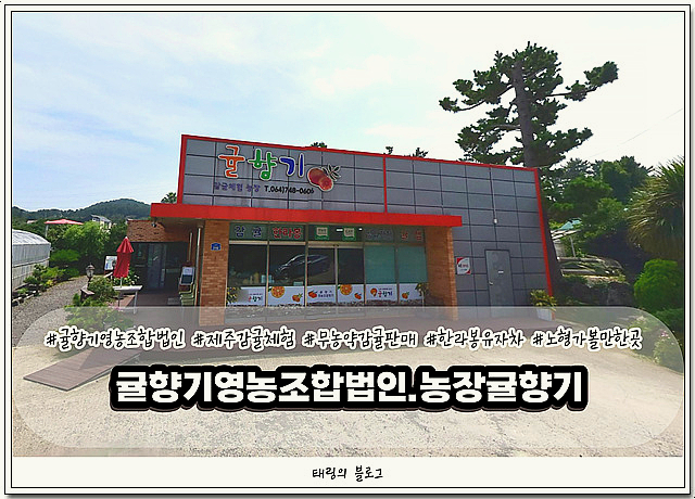 법인더햇살 이미지