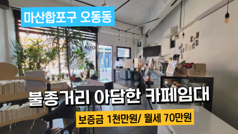 코아양과 이미지