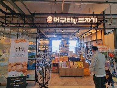 머구리와보자기 이미지