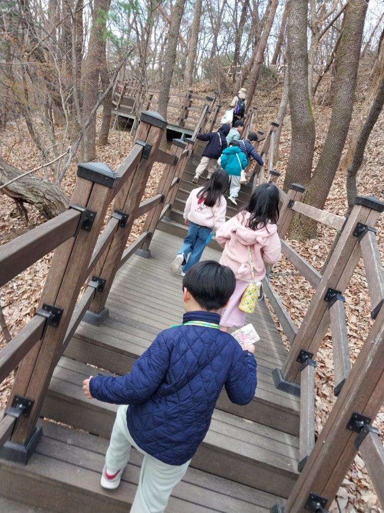 더불어숲생태학교 이미지