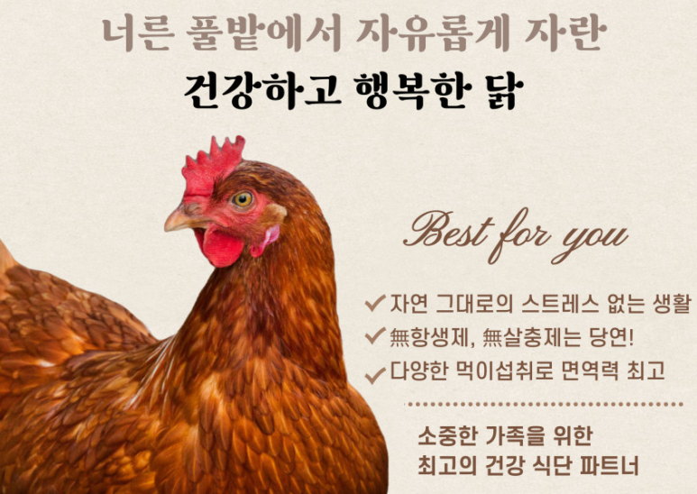고분계란 이미지