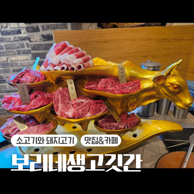 돼지보리네 이미지