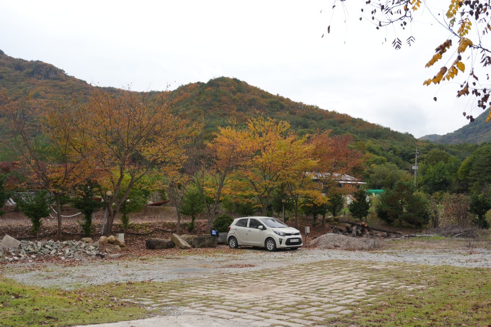 댕댕이애견가족펜션블랙 이미지