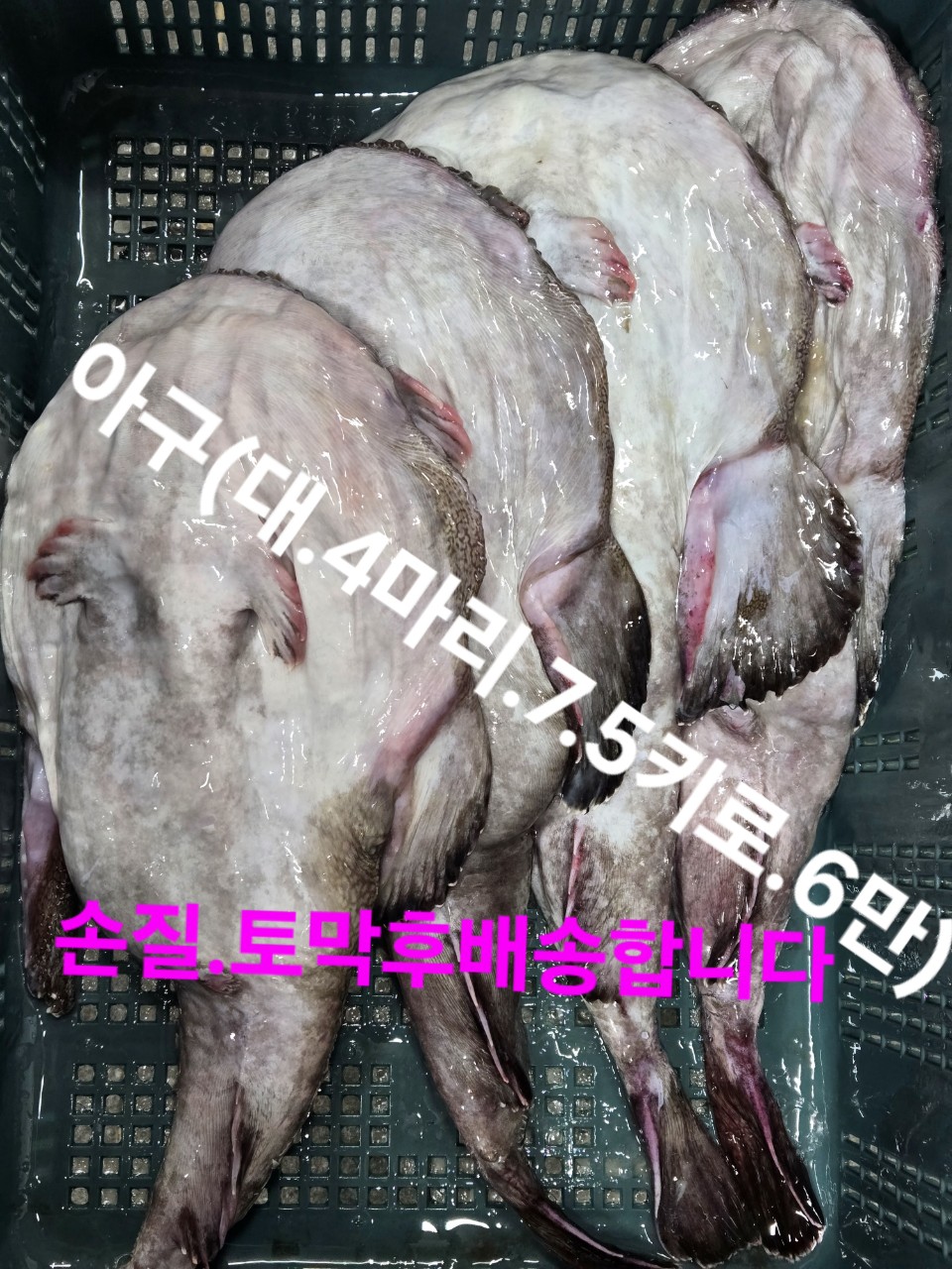 임여사수산 이미지