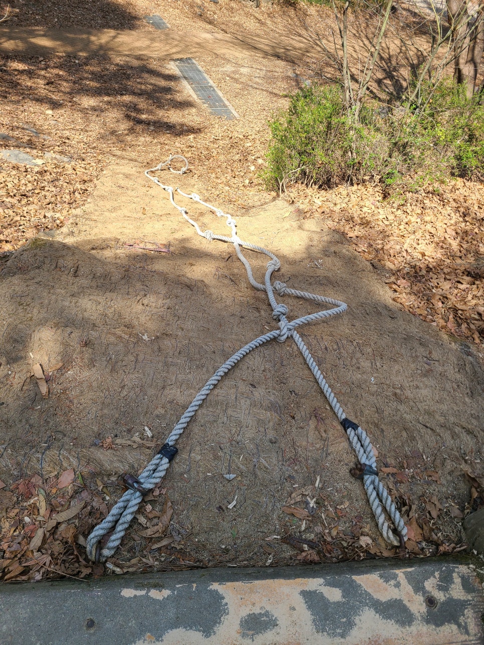 앞산고산골 유아숲체험원 이미지