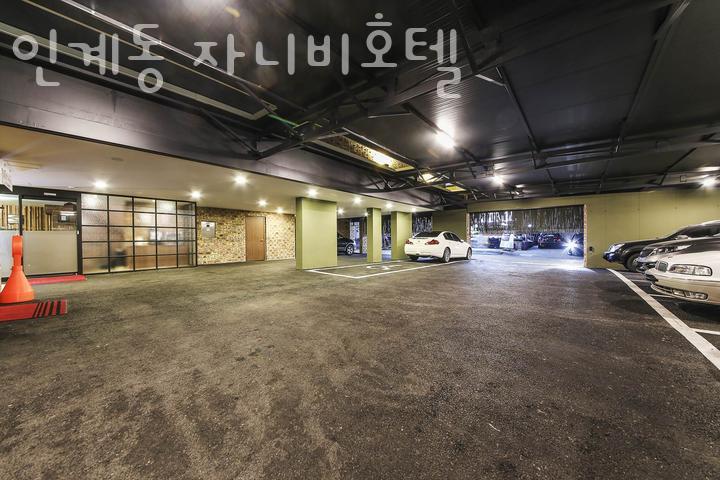 자니비 이미지