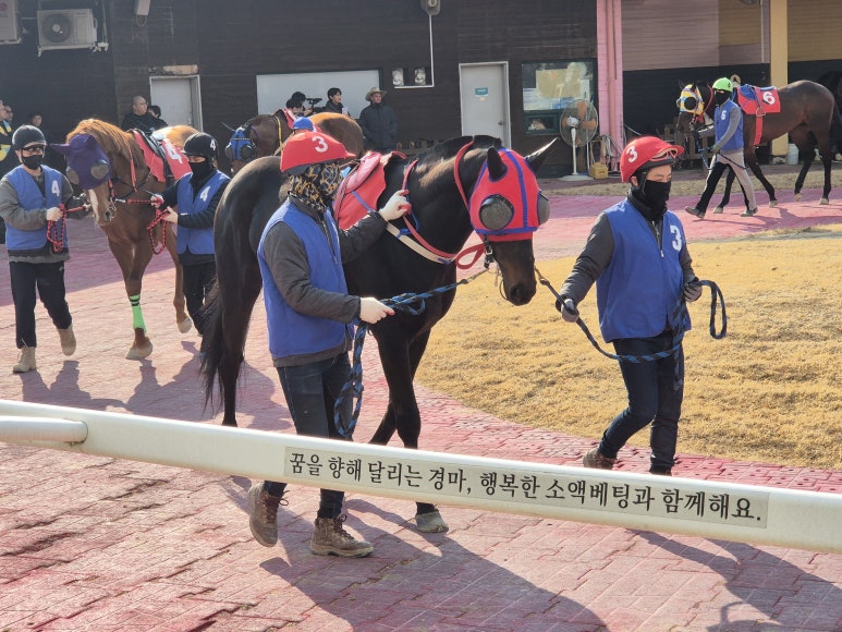 원더풀석세스 이미지