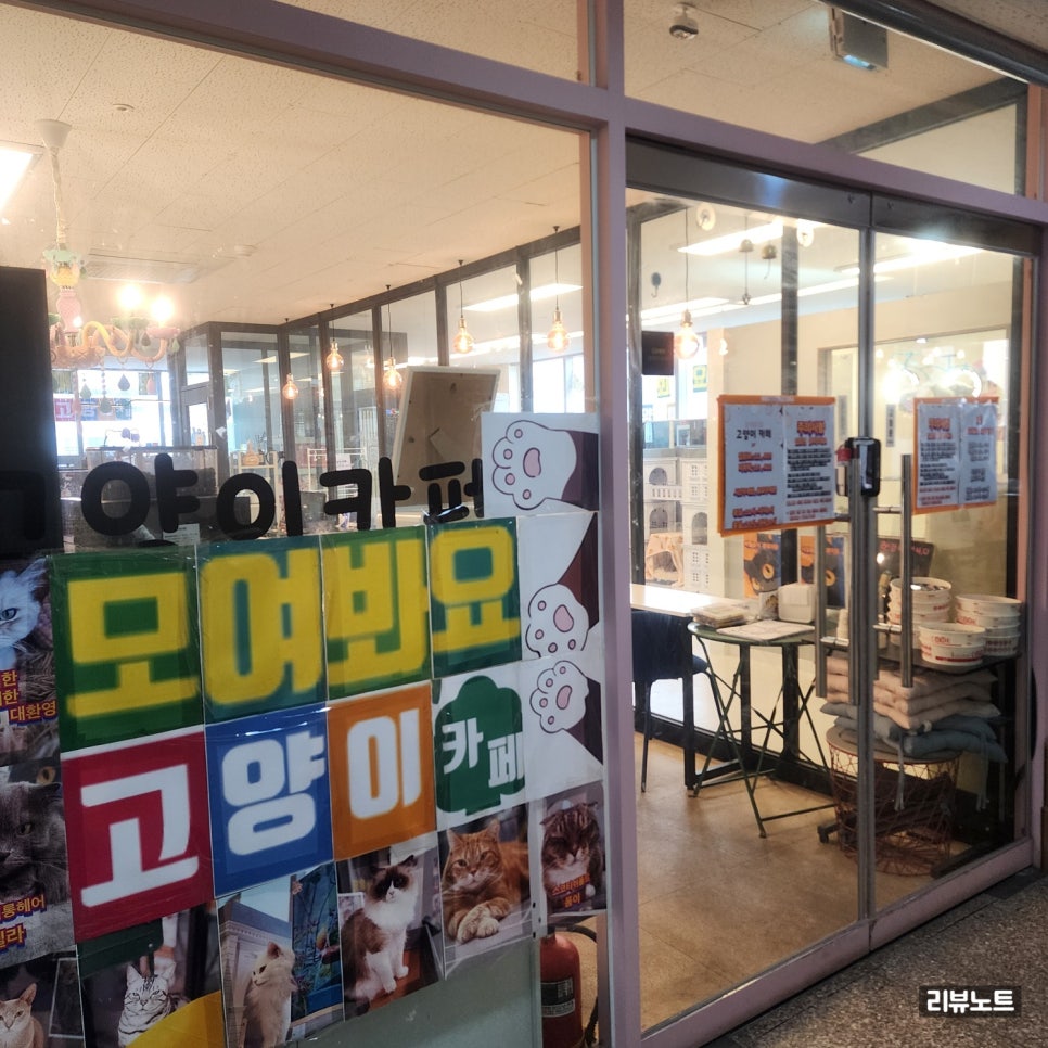모여봐요 고양이카페 이미지