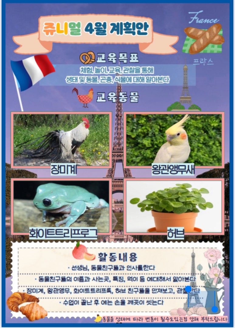 쥬니멀 이미지