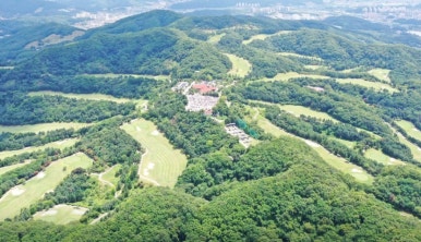뉴서울전자 이미지