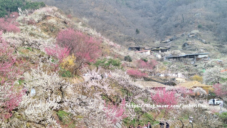 강변의수채화 이미지