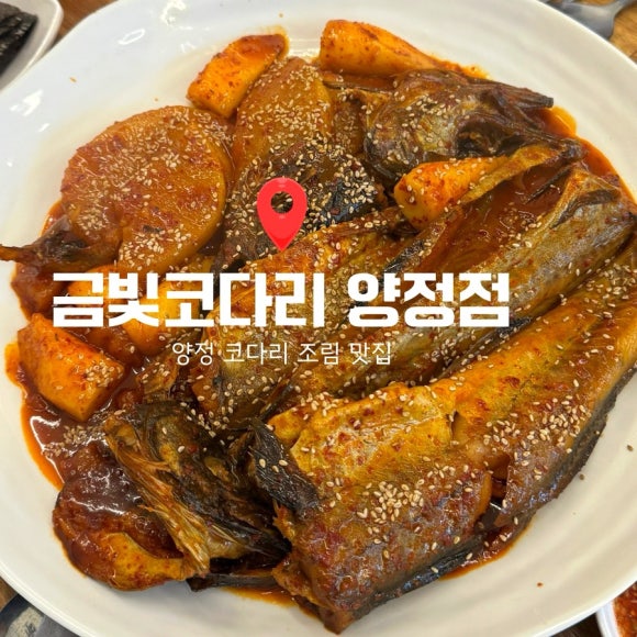 금빛코다리 이미지