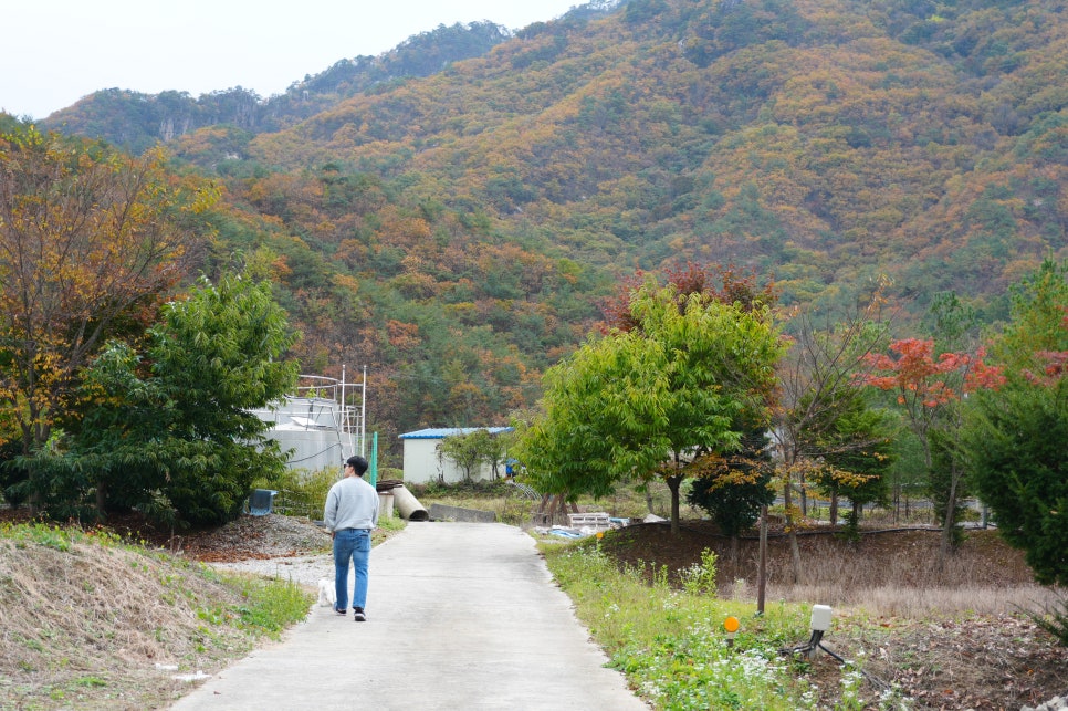 댕댕이애견가족펜션블랙 이미지