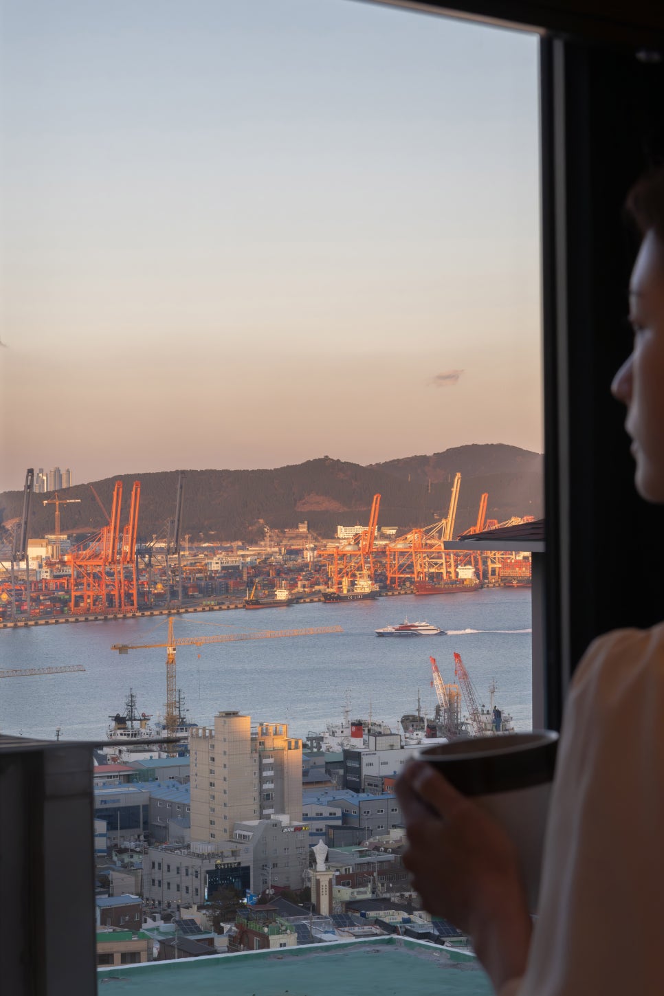 스테이동주 이미지