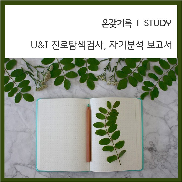 연우심리개발원 이미지