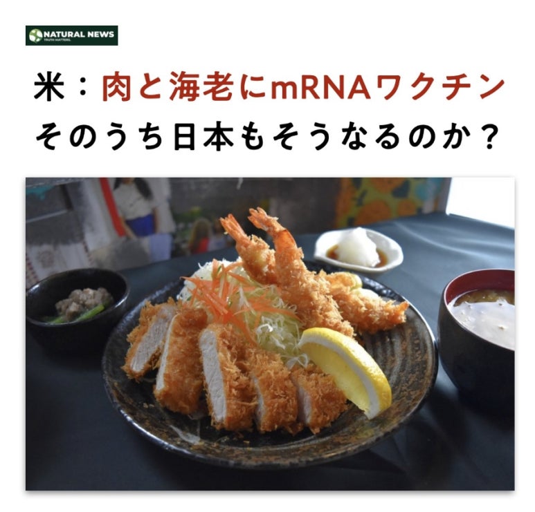 파이텍 이미지
