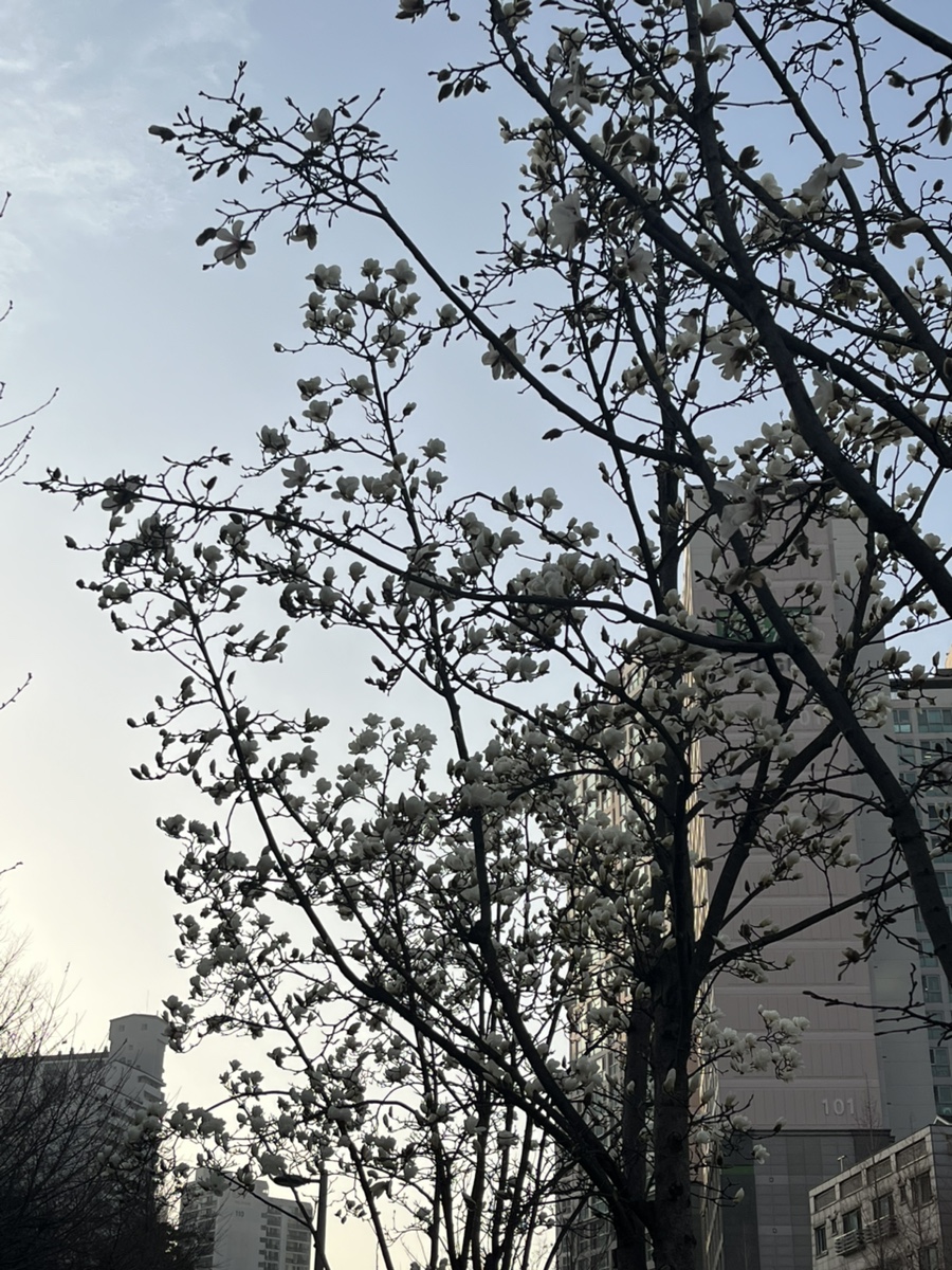 밀플랜비 서강대점 사진 7