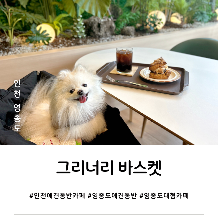 그리너리 바스켓 이미지