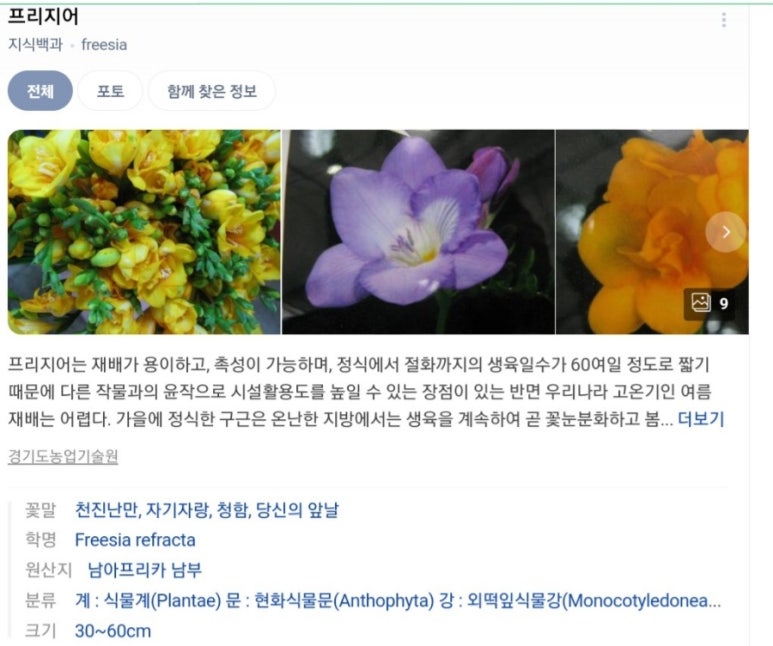 보로플라워마켓 이미지
