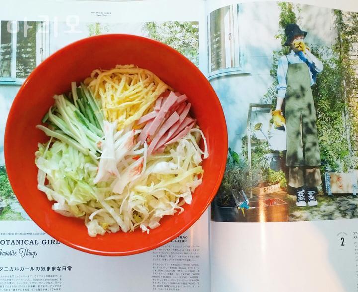 마리모 이미지
