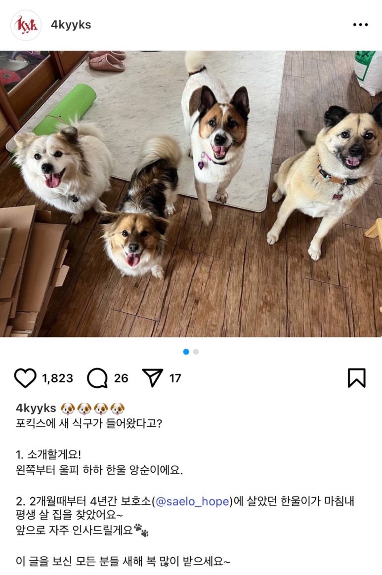 포킥스엔터테인먼트 이미지