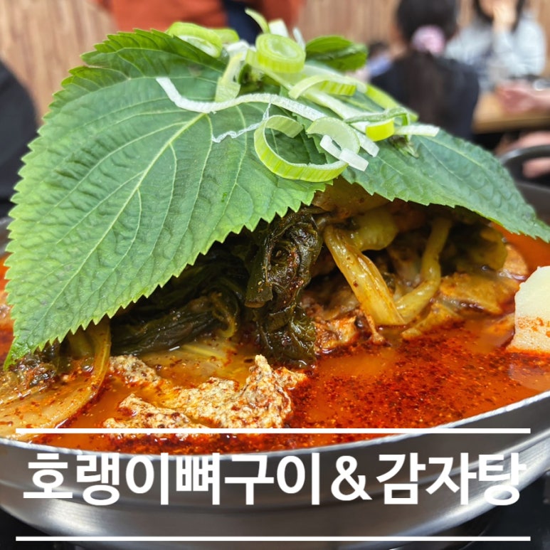 호랭이 뼈구이 이미지
