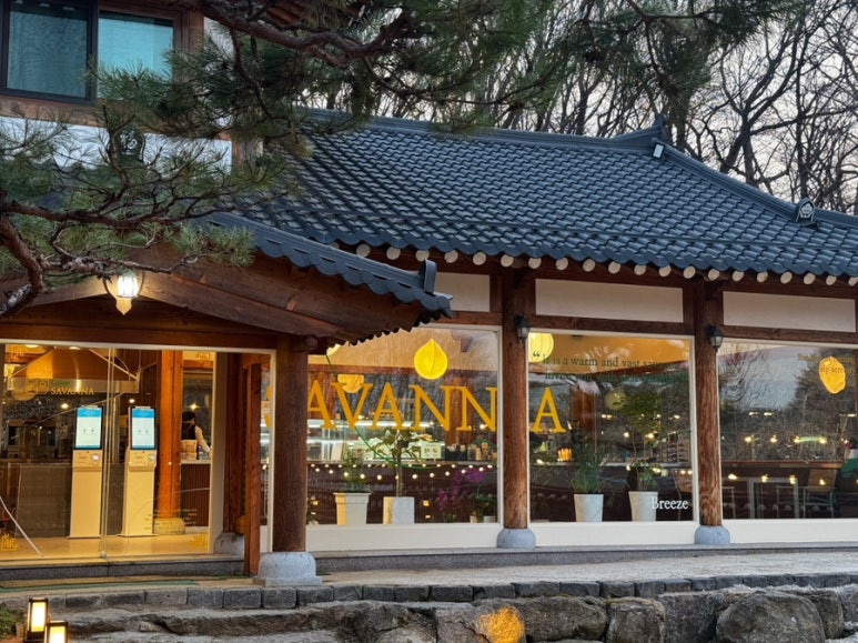 그리네 사바나 이미지