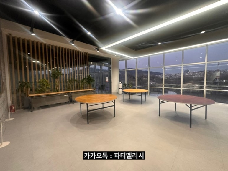 파티멜리시 이미지