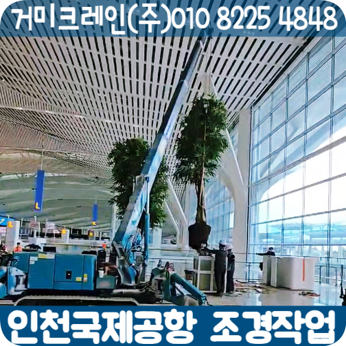 거미조경 이미지