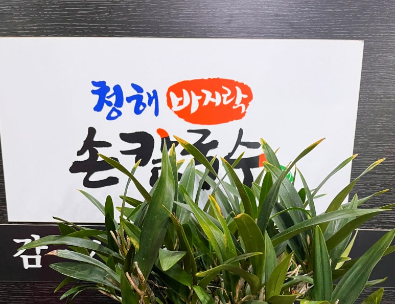 청해손칼국수 이미지