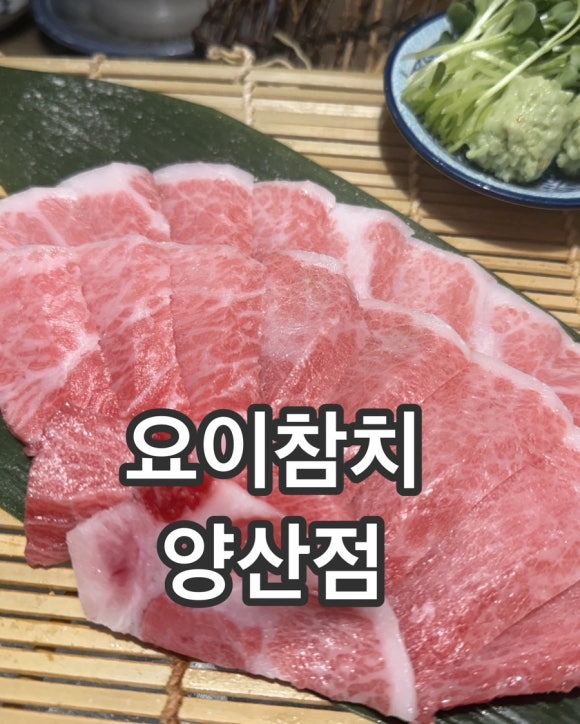 참치야 양산점 이미지