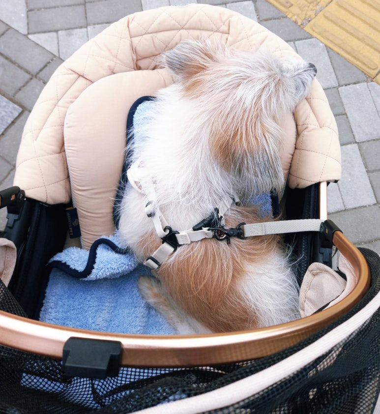 (주)제니에스 이미지