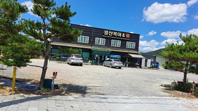월산복어 이미지