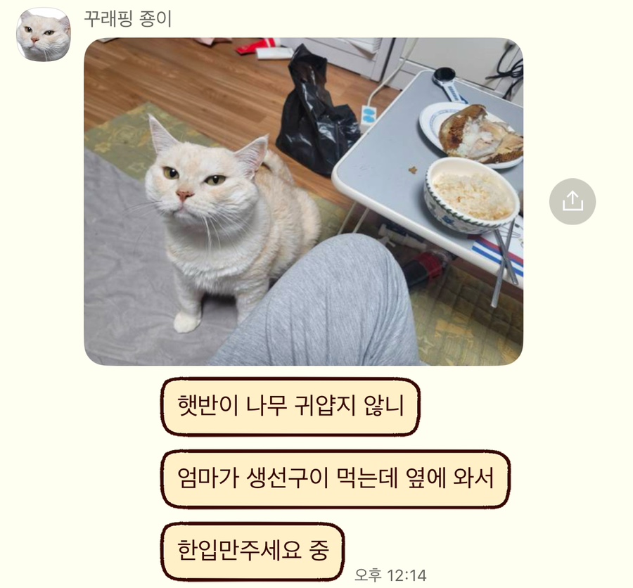 (주)스페라 이미지