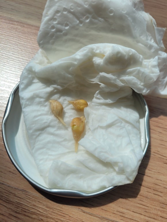 카페인24(cafein24) 이미지