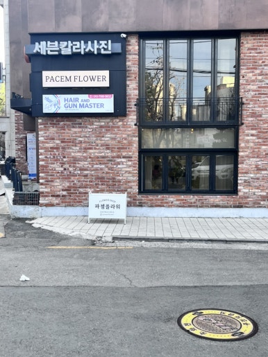 파쳄플라워 이미지