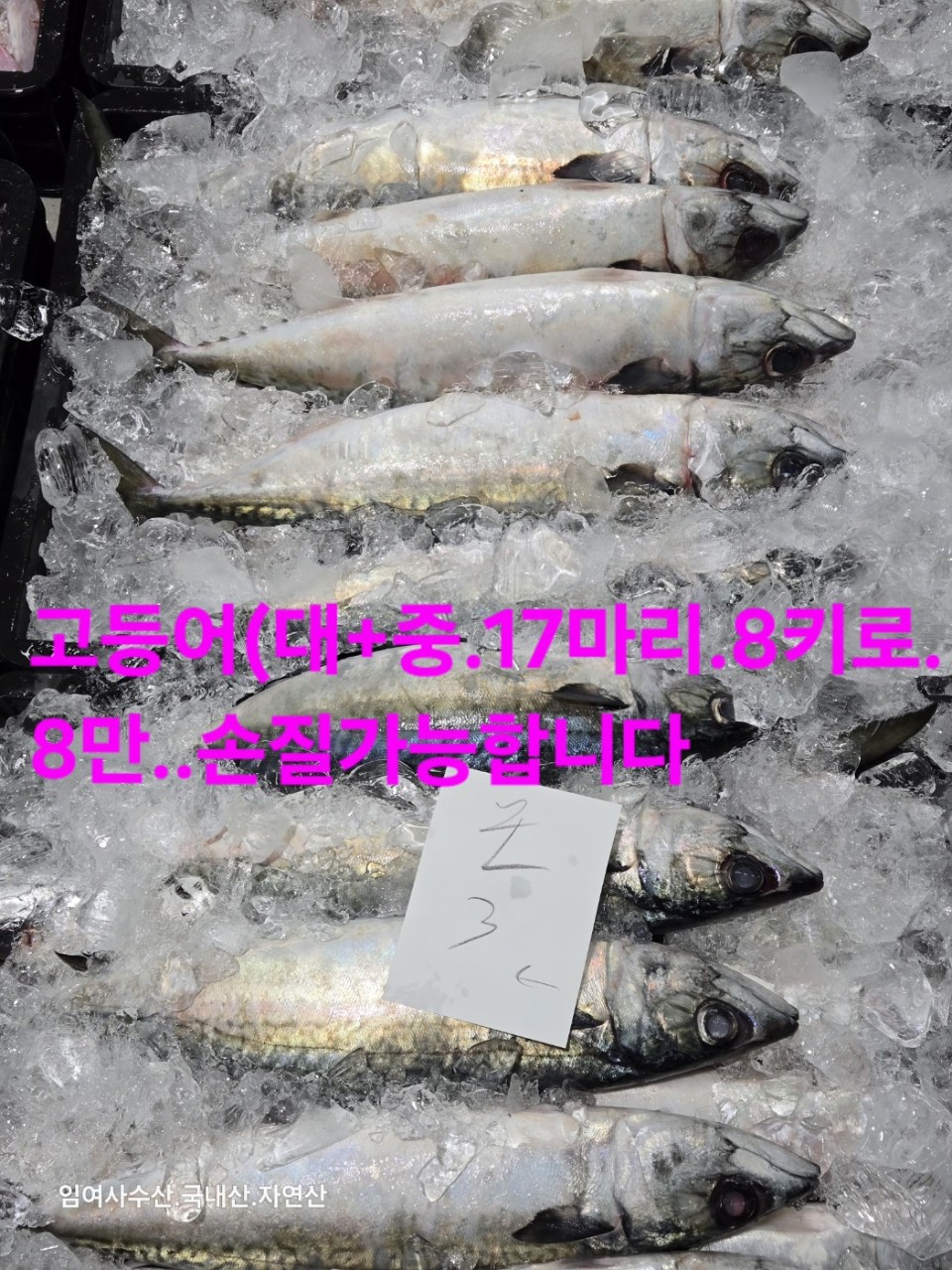 임여사수산 이미지