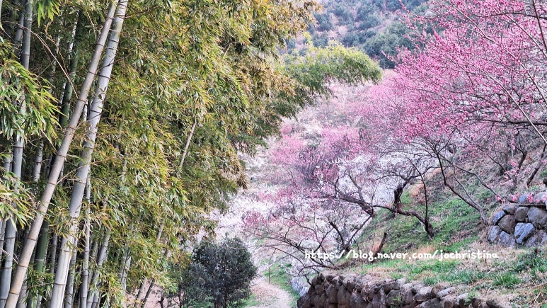 강변의수채화 이미지