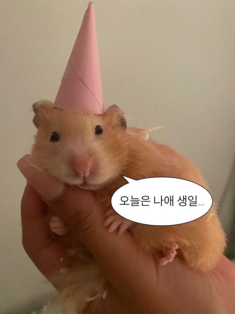 다다하다 양산중부점 이미지