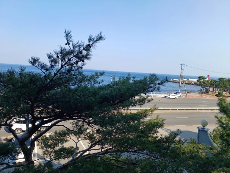 선행정사사무소 이미지