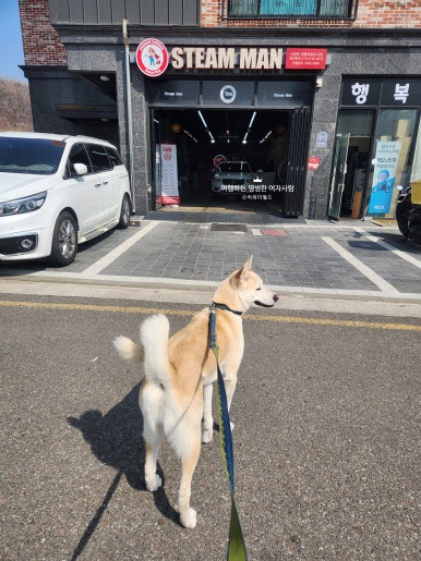 스팀맨영종 이미지