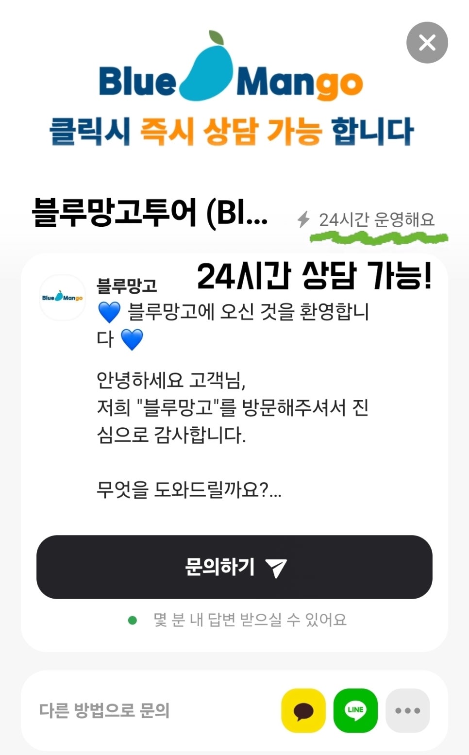 블루망고투어 이미지