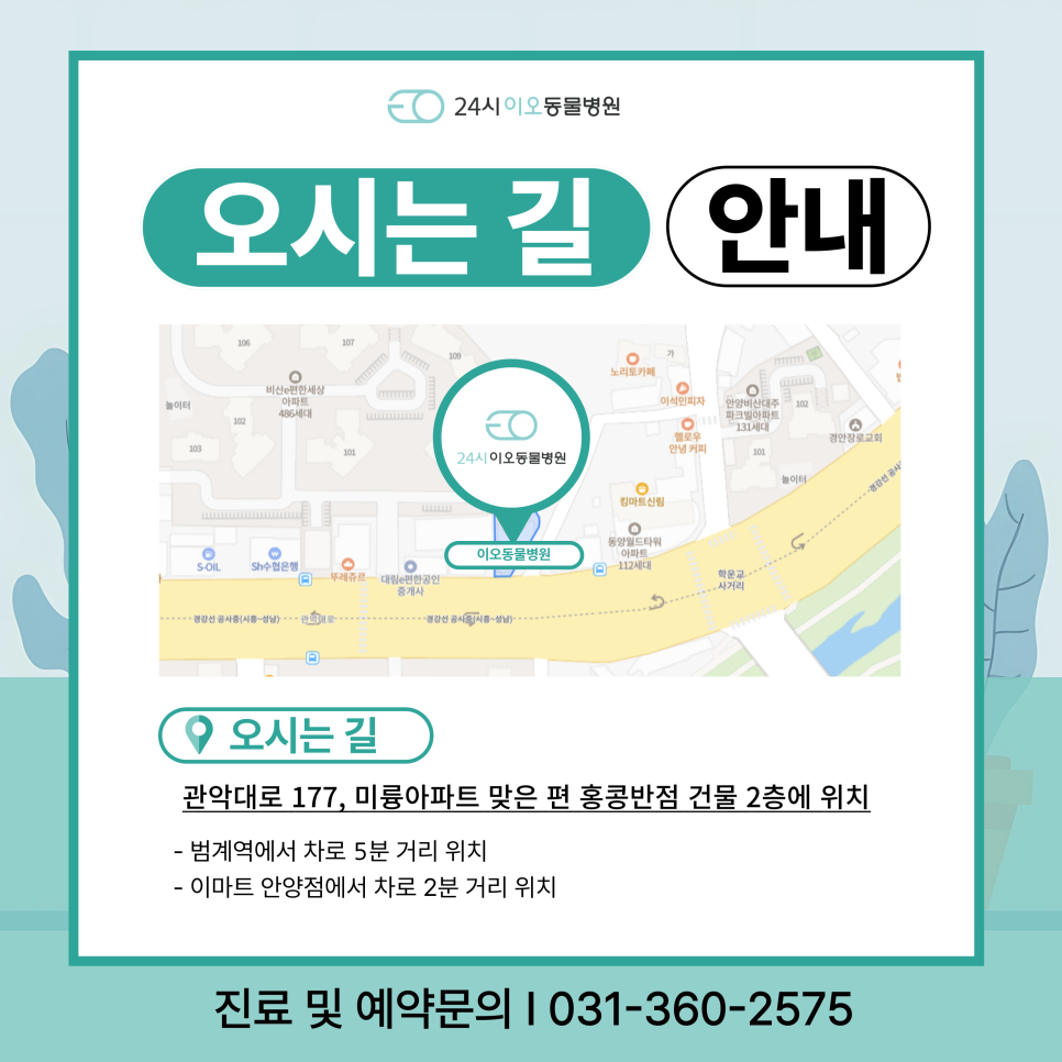 이오이오반점 이미지