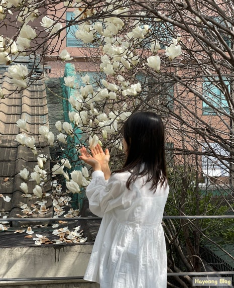 실란트로(주) 이미지