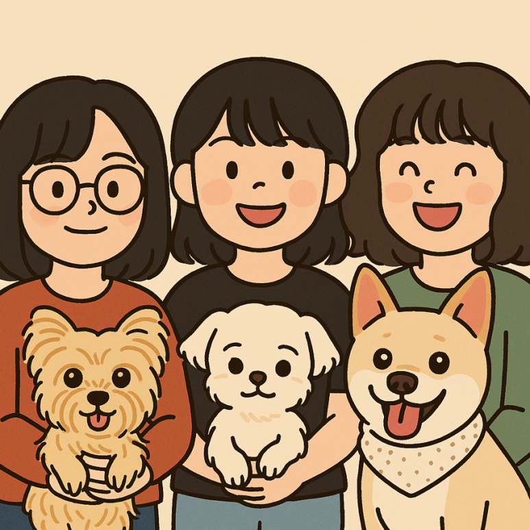 영상쟁이들 이미지