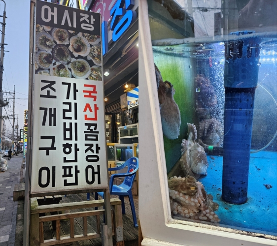 용원횟집 이미지