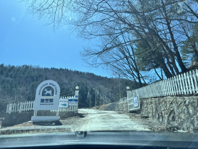 동점반점 이미지