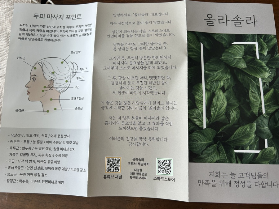 올라솔 이미지